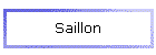 Saillon